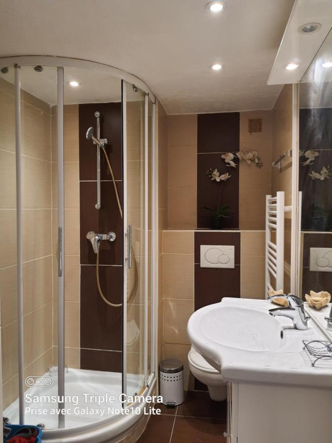 Apartment Les Violettes 3 Pieces Centre *